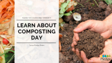 Compost to Reduce Your Business’s Waste and Cut Costs