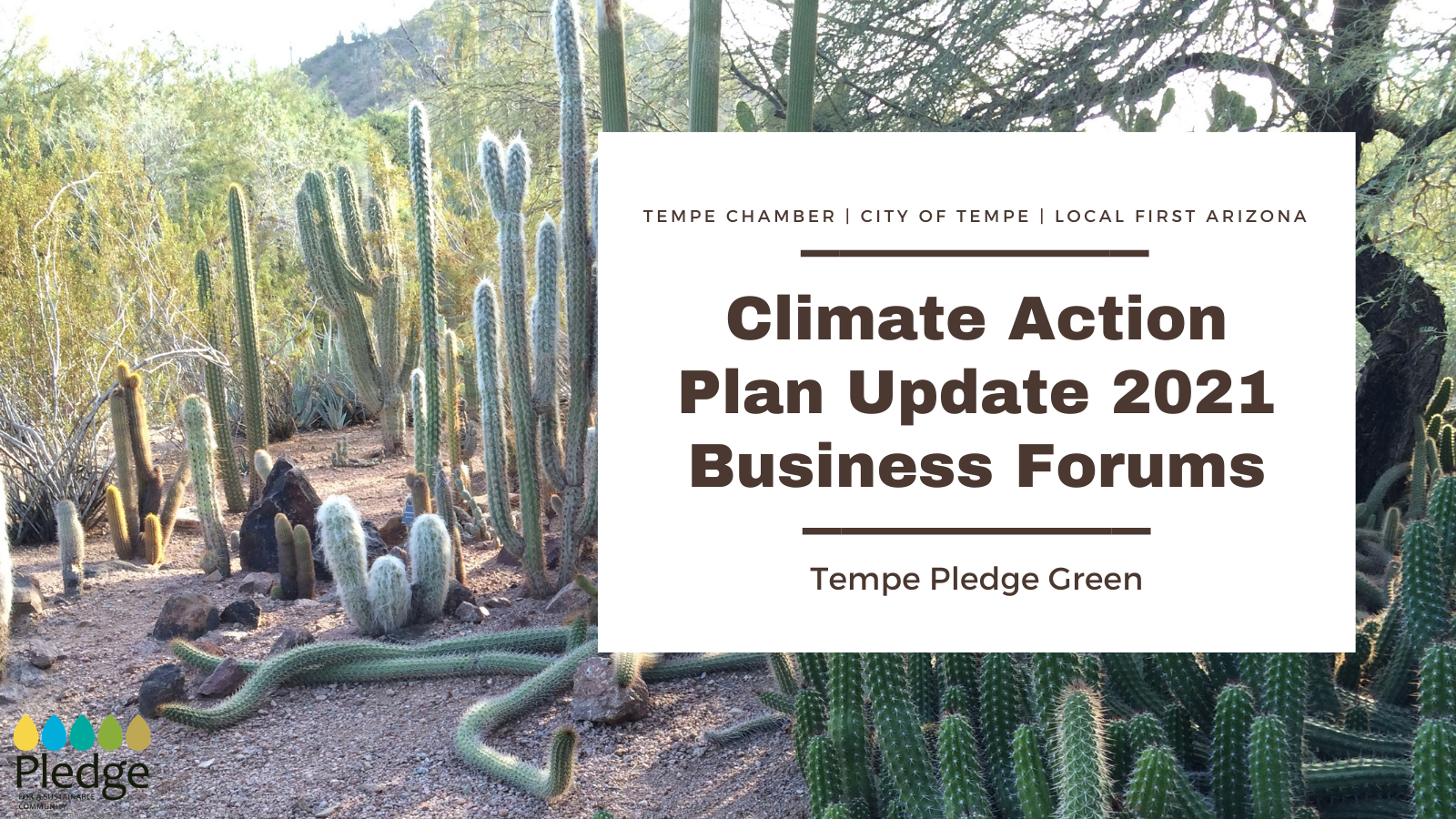 Business Forums: Take Part in Tempe’s Climate Action Plan 2021 Update